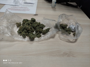 Marihuana znaleziona u zatrzymanego - leży na workach na stole.