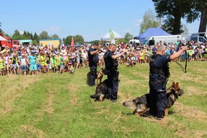 Policyjni przewodnicy psów służbowych podczas imprezy plenerowej  w Niepruszewie