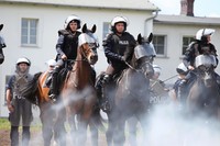 Policyjne konie i ich wierzchowce w trakcie egzaminu atestacyjnego.