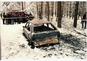 Wrak spalonego samochodu stoi w lesie.