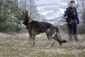 policjant i pies policyjny Portos
