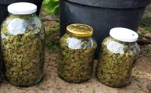 Narkotyki zabezpieczone przez złotowskich policjantów w ilości ponad 1,5 kilograma