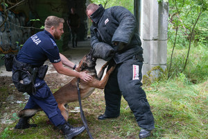 policjanci z psem