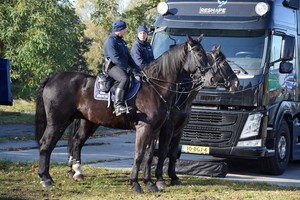 escape truck w rogoźnie