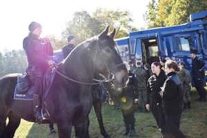 escape truck w rogoźnie