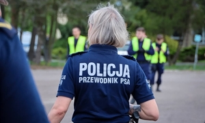 przewodnik psa służbowego