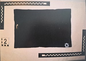 zabezpieczone przedmioty