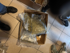 Środki odurzające i substancje psychotropowe zabezpieczone przez ostrowskich policjantów