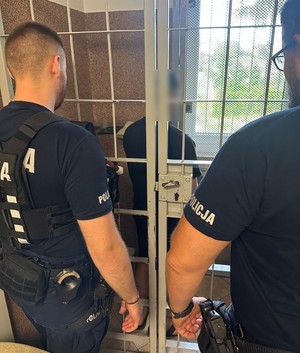 samochód; policjant z zatrzymanym