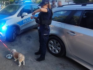 uratowany pies, auto z wybitą szybą, policjantka z psem pijącym wodę