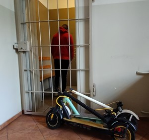 Przedmioty odzyskane przez policjantów oraz zatrzymani przez nich sprawcy kradzieży