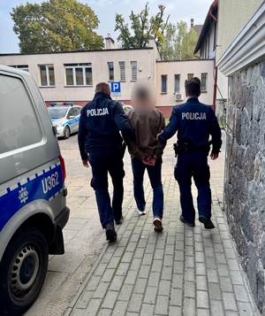 policjanci z zatrzymanym; nr telefonów dla ofiar przemocy