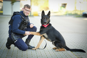 pies policyjny i jego przewodnik