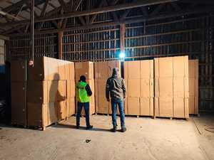 zabezpieczony tytoń