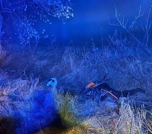 noc, motocykl leżący w przydrożnym rowie