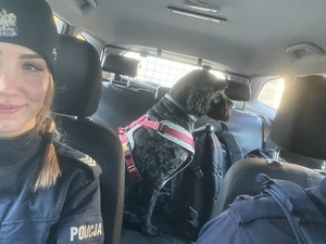 policjantka w radiowozie, z tyłu siedzi pies