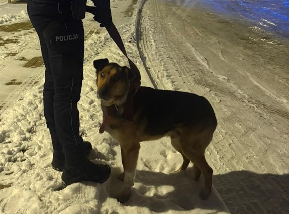 policjantka z uratowanym psem