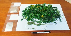 zabezpieczone narkotyki