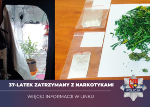 zabezpieczone narkotyki