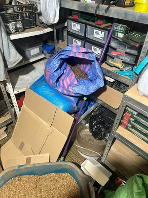 Tytoń i papierosy bez polskich znaków akcyzy zabezpieczone przez policjantów z PG KMP w Poznaniu