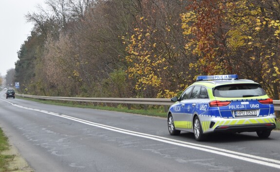 radiowóz na drodze przy lesie