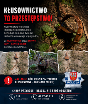 wnyki