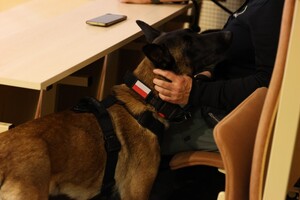 Policjanci i zaproszeni goście podczas uroczystej premiery filmu dokumentalnego "Weterani. Służba, która nie umiera" w Ośrodku Szkolenia Policji w Gnieźnie