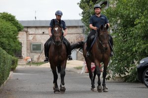 Agnieszka ujeżdża nowego polskiego konia sportowego, a obok niego jedzie na swoim wierzchowcu nowy jeździec.